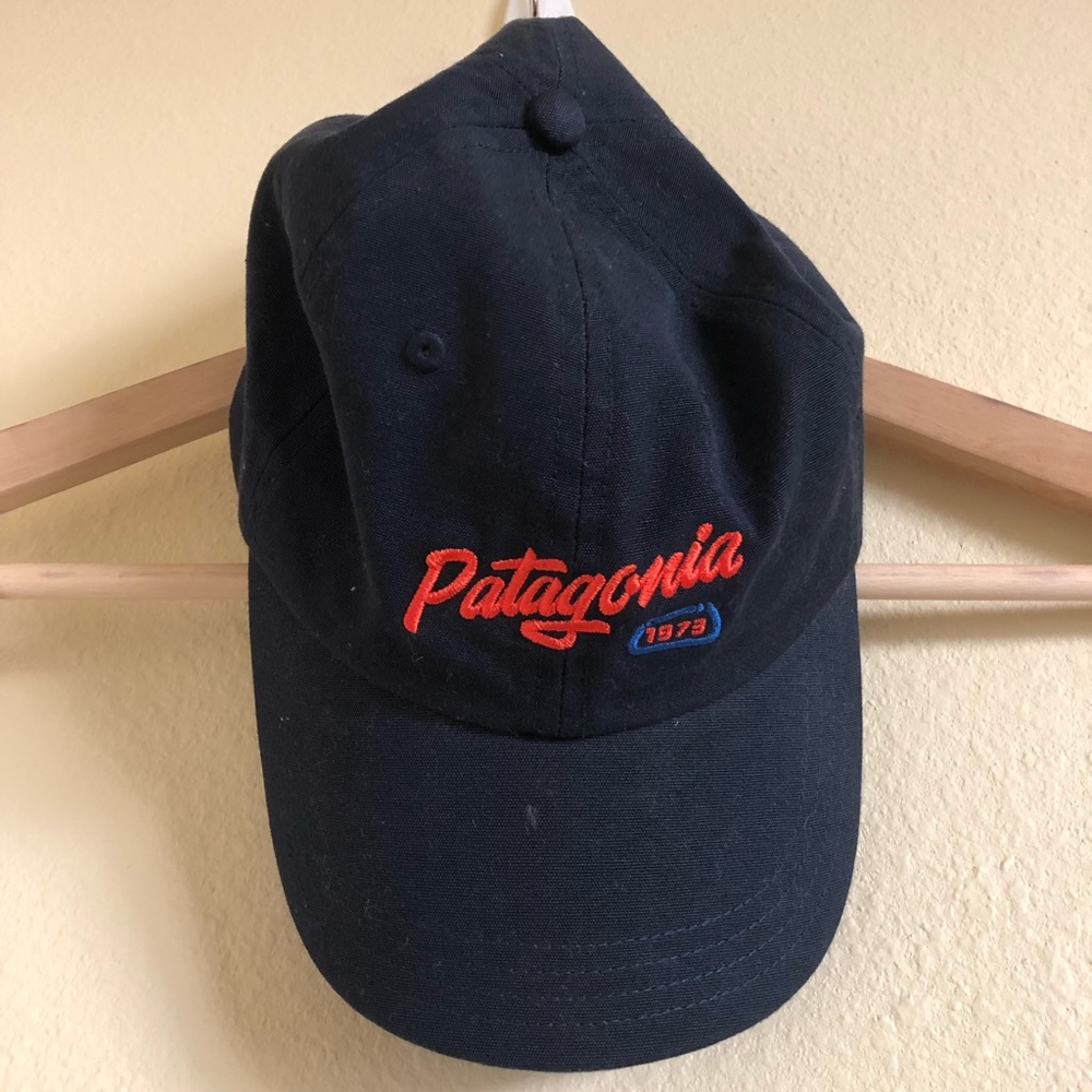 Patagonia Cap